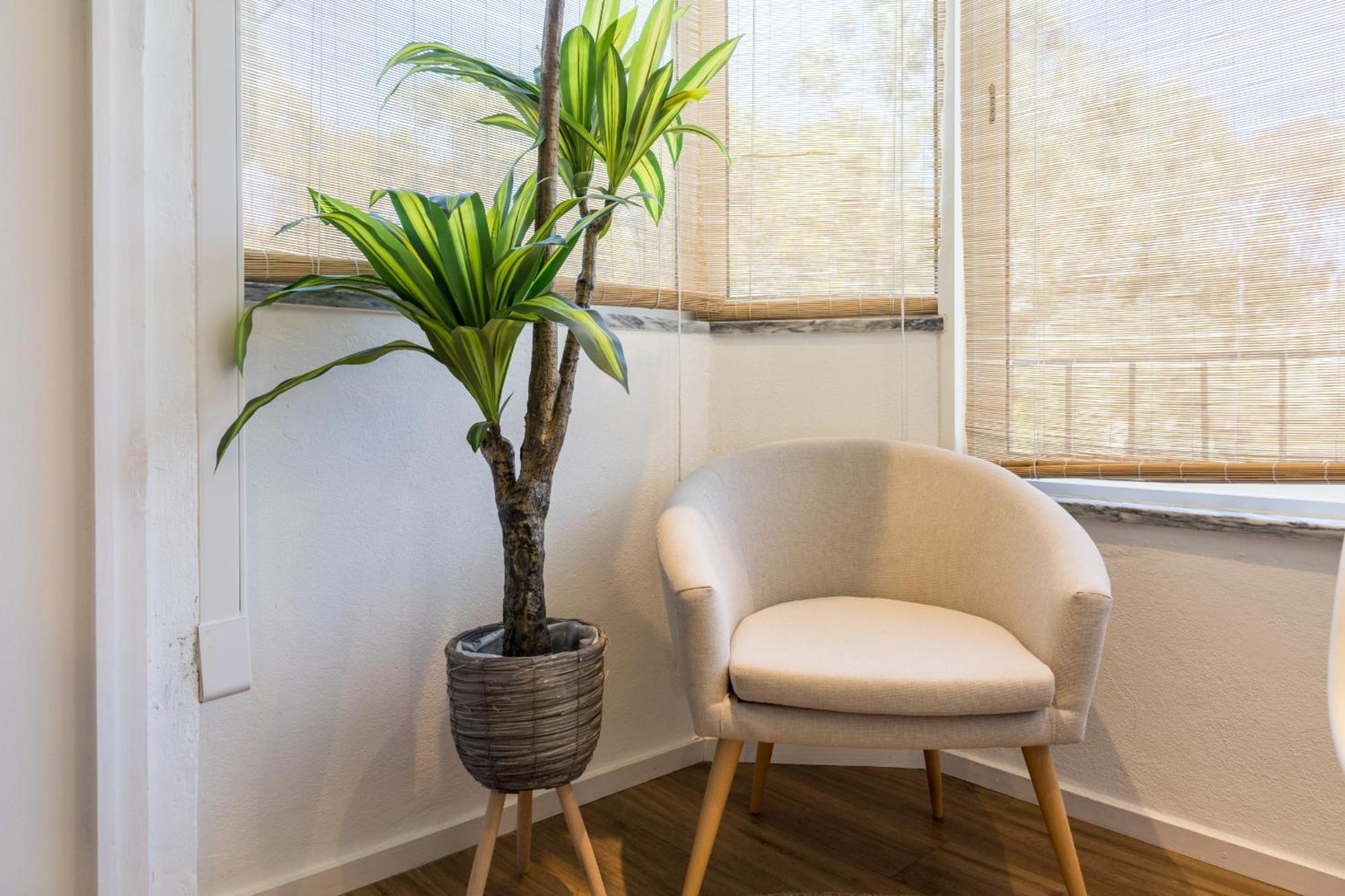 Beguest Cascais Cozy Studio Bagian luar foto